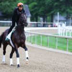 how-to-watch-the-2025-belmont-stakes-for-free:-time,-live-stream,-odds