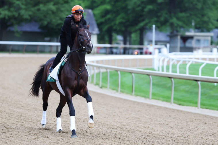 how-to-watch-the-2025-belmont-stakes-for-free:-time,-live-stream,-odds