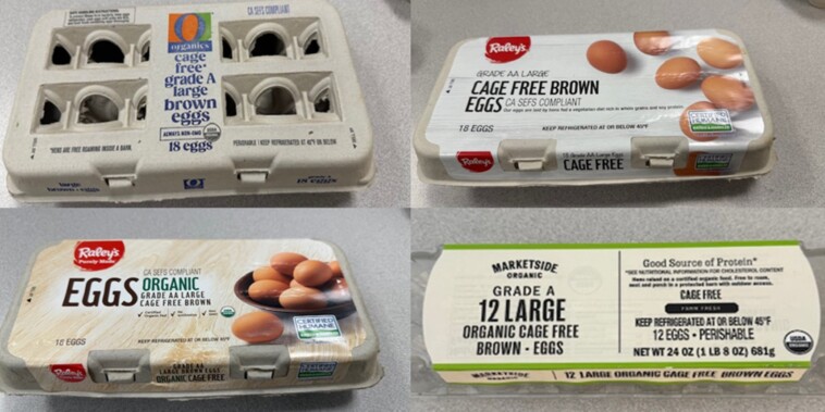 dangerous-salmonella-outbreak-tied-to-eggs-sends-more-than-20-people-to-hospital