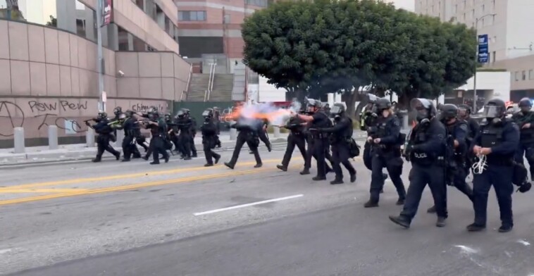 wayne-root:-here-is-how-to-deal-with-illegal-alien-rioters-in-los-angeles.-hint:-“blue-man-group”