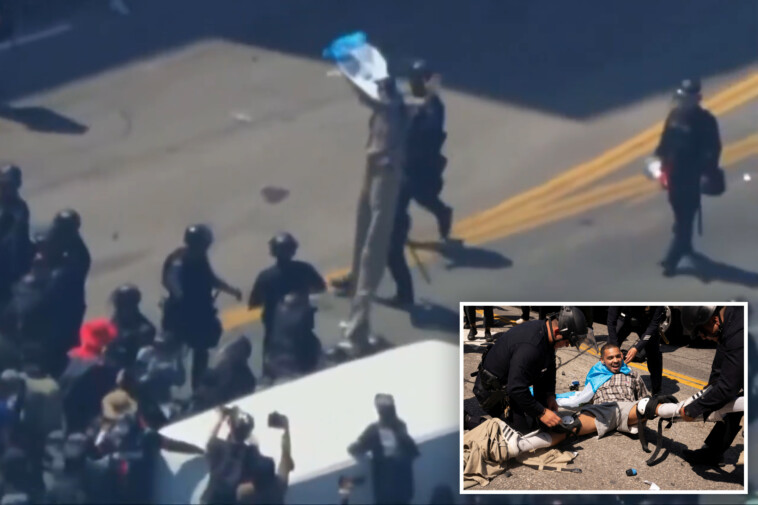 lapd-takes-down-protester-on-stilts,-drags-him-away-at-an-anti-ice-riot