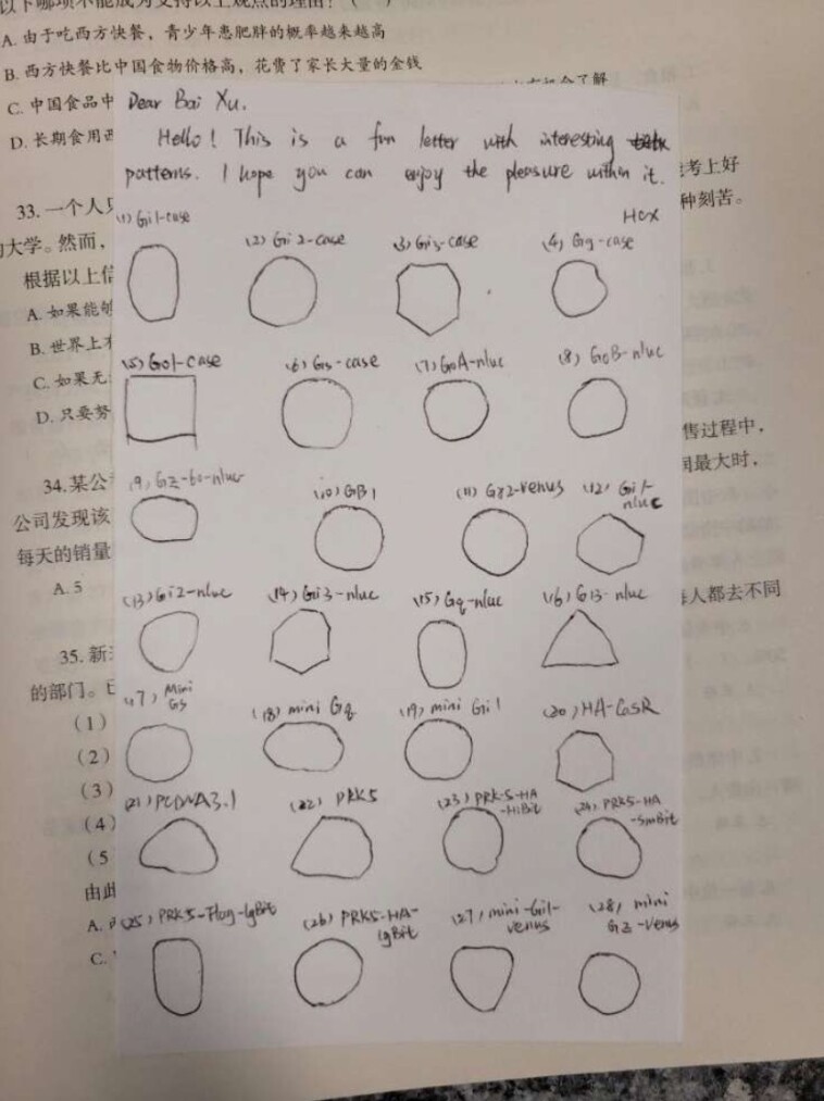 another-chinese-scientist-—-from-wuhan-—-charged-with-smuggling-illegal-biological-material-into-us