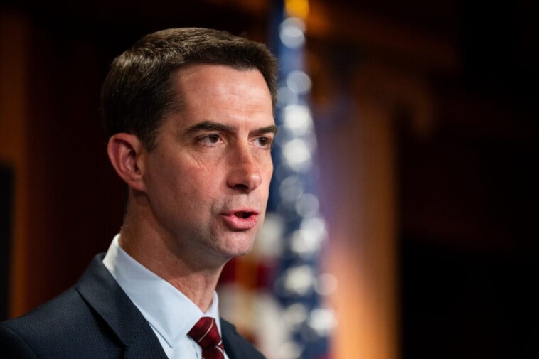 watch:-tom-cotton-and-ben-shapiro-talk-trump-sending-the-national-guard-to-los-angeles