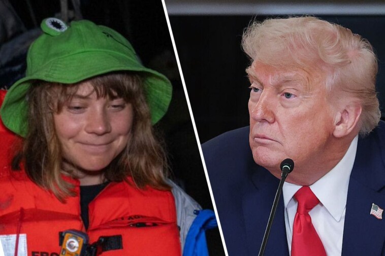donald-trump-has-a-recommendation-for-greta-thunberg-after-her-‘selfie-flotilla’