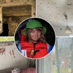 israel-to-show-greta-thunberg-graphic-footage-of-hamas’-october-7-massacre