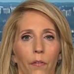 cnn’s-dana-bash:-trump-was-the-‘arsonist’-in-los-angeles