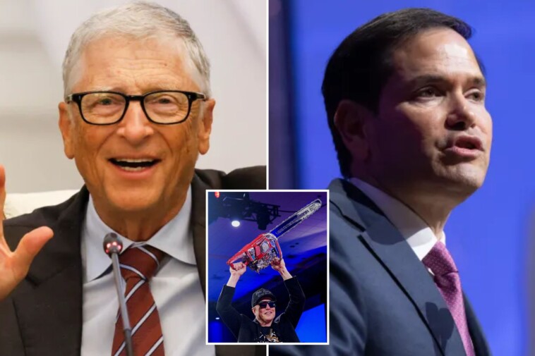 bill-gates-pleaded-with-marco-rubio-to-reverse-elon-musk’s-doge-cuts-to-usaid:-report