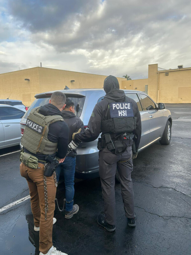 armed-national-guard-troops-to-join-ice-agents-for-la-mass-deportation-raids:-sources