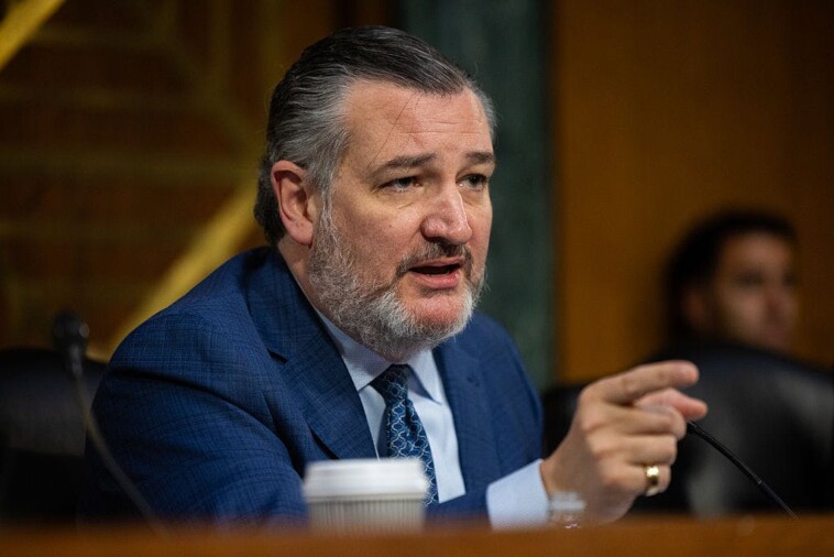 exclusive:-big-tech-company-used-southern-poverty-law-center-to-deplatform-conservatives