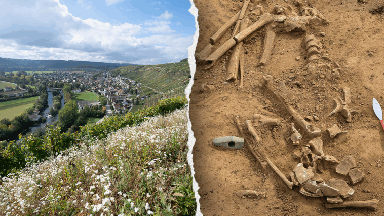 mysterious-‘dumped’-bodies-of-woman-and-child-found-by-archaeologists-in-picturesque-town