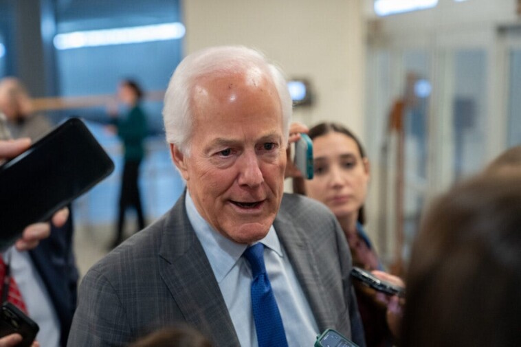 exclusive:-senate-gop-proposal-would-end-federal-funding-for-‘genital-mutilation’-procedures