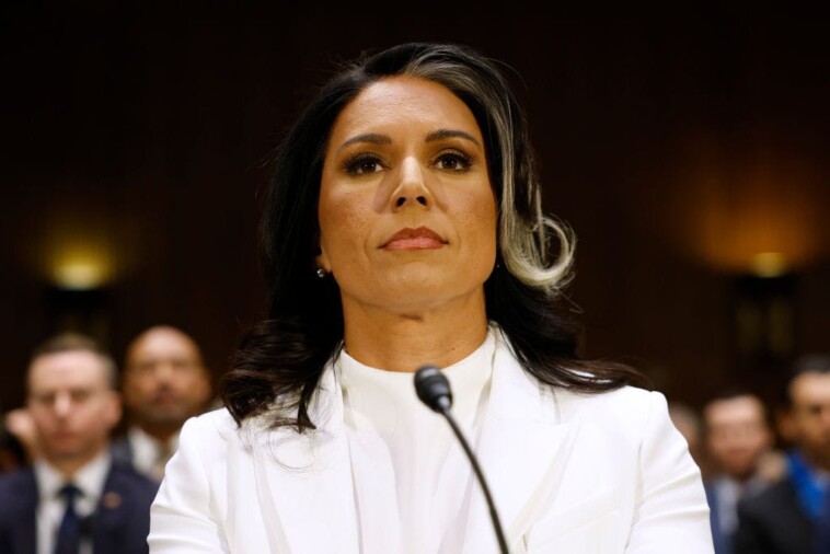 internal-memo-undermines-dem-claims-that-tulsi-gabbard-is-meddling-with-an-intel-watchdog