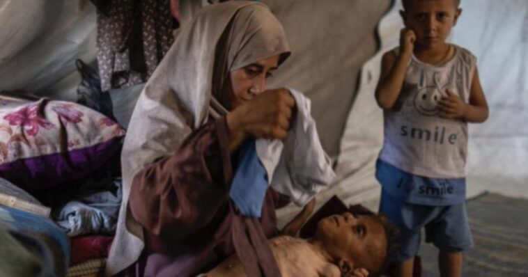 nyt-forced-to-eat-crow-after-falling-for-super-obvious-lie-about-israel-‘starving’-palestinians
