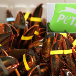 peta-calls-maine-lobster-festival-‘egregiously-cruel’-in-new-lawsuit-against-coastal-city