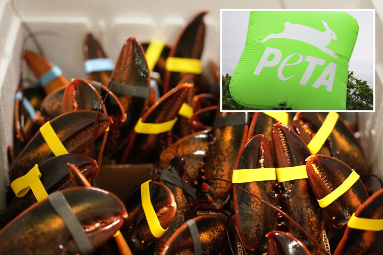 peta-calls-maine-lobster-festival-‘egregiously-cruel’-in-new-lawsuit-against-coastal-city