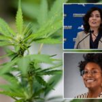 legal-ny-pot-sellers-fume-over-latest-albany-cannabis-screw-up-—-which-they-fear-could-cost-them-millions-and-snuff-out-their-businesses