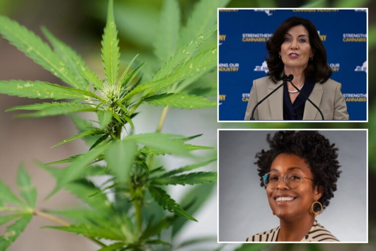 legal-ny-pot-sellers-fume-over-latest-albany-cannabis-screw-up-—-which-they-fear-could-cost-them-millions-and-snuff-out-their-businesses