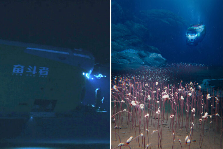 researchers-discover-never-before-seen-aquatic-life-hiding-in-the-darkest-depths-of-the-ocean