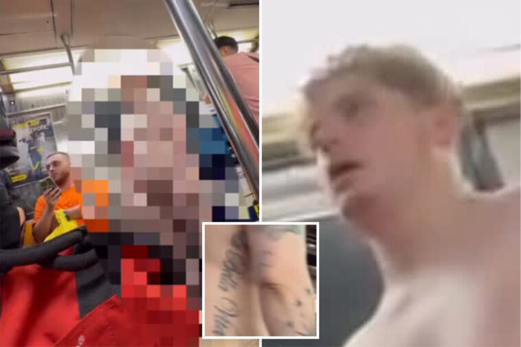 nyc-straphanger-lets-it-all-hang-out-in-disturbing-subway-video