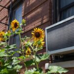 the-hottest-deals-on-air-conditioners-to-help-you-keep-cool-this-summer