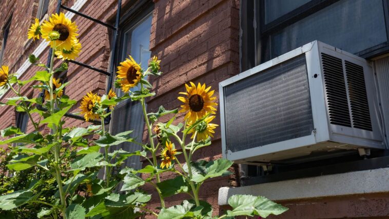 the-hottest-deals-on-air-conditioners-to-help-you-keep-cool-this-summer