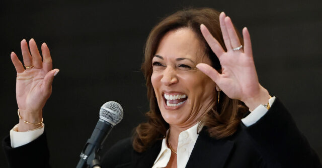 kamala-harris-rules-out-running-for-california-governor:-my-leadership-‘will-not-be-in-elected-office’