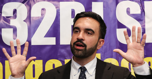zohran-mamdani-echoes-gov.-hochul:-ban-‘assault-rifles’-nationwide