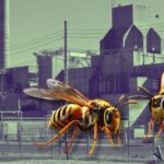 radioactive-wasp-nest-discovered-near-south-carolina-nuclear-weapon-facility
