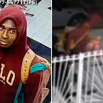 nyc-brute-admits-he-kicked-friend’s-dog-to-death,-torched-its-body-—-but-he’s-still-released-from-jail:-da