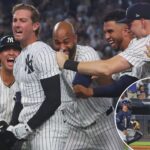 ryan-mcmahon’s-walk-off-hit-in-11th-inning-gives-yankees-crazy-win-over-rays