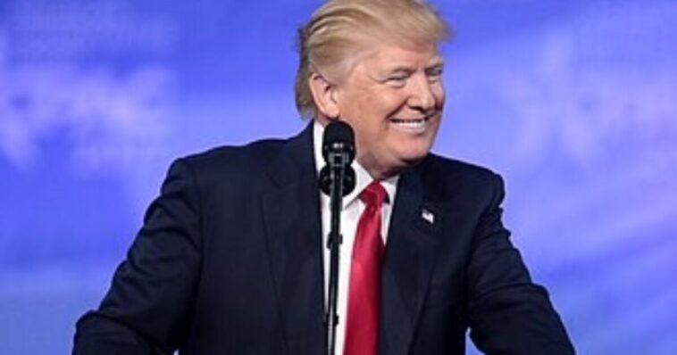 anti-trump-new-york-times-columnist-admits-trump’s-presidency-is-‘much-more-successful’-than-he-expected