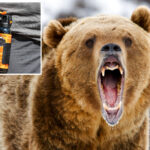 quick-thinking-wife-saves-husband-with-bear-spray-during-grizzly-attack-in-canadian-wilderness