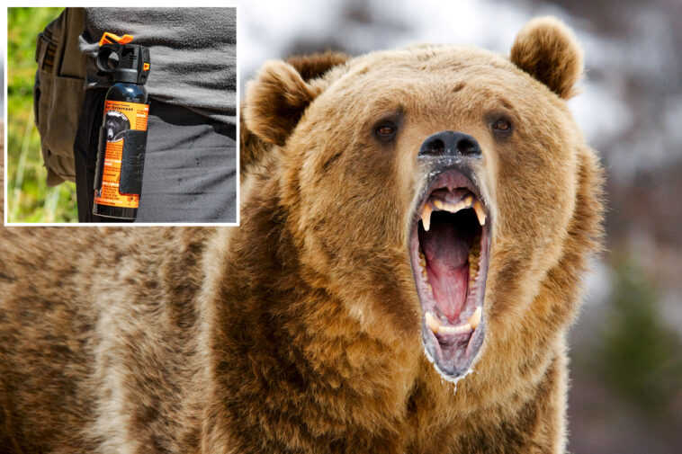 quick-thinking-wife-saves-husband-with-bear-spray-during-grizzly-attack-in-canadian-wilderness