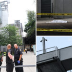 museum-visitor,-34,-jumps-to-his-death-at-the-whitney