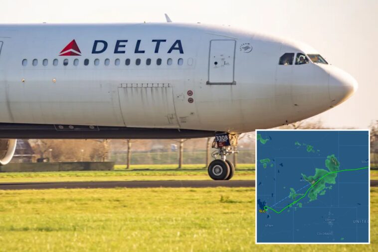 delta-flight-diverted-after-being-hit-by-turbulence,-25-passengers-hospitalized