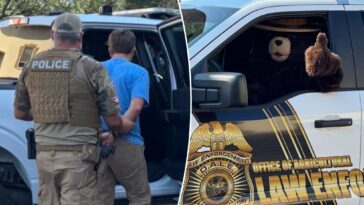 smokey-the-bear-arrests-man-for-allegedly-stealing-his-signs-in-florida-to-sell-on-facebook:-‘dumb-criminals’
