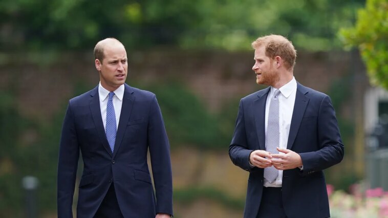 prince-william,-prince-harry-won’t-inherit-princess-diana’s-childhood-home:-expert