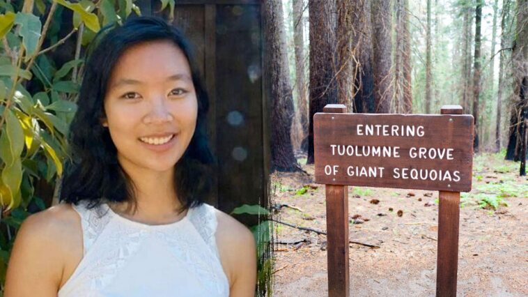google-engineer,-29,-dies-on-yosemite-national-park-trail-after-falling-tree-branch-strikes-her
