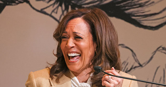 watch-—-kamala-harris-drops-cringe-tiktok:-‘everyone-thinks-you’ve-been-kicking-back,-drinking-margaritas-on-the-beach’