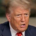 far-left-federal-judges-attack-president-trump…-again