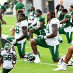 jets’-quincy-williams,-jamien-sherwood-are-on-a-lofty-‘one-punch’-mission