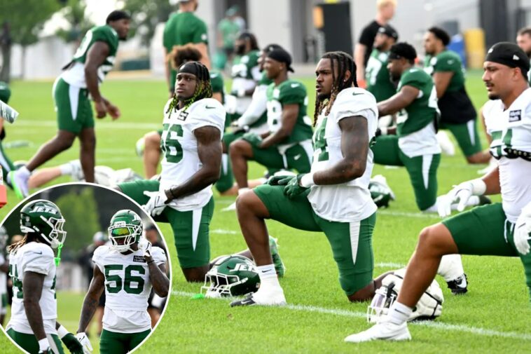 jets’-quincy-williams,-jamien-sherwood-are-on-a-lofty-‘one-punch’-mission