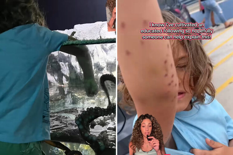 octopus-attacks-6-year-old-boy-at-texas-aquarium,-mom-claims:-‘we-started-yelling-for-help’