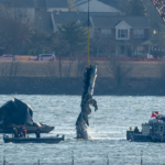 air-traffic-controller-should-have-warned-plane-of-army-helicopter’s-path-ahead-of-fatal-dc-crash:-faa