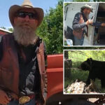 new-mexico-man-fatally-shoots-black-bear-that-broke-into-his-trailer-home:-‘came-in,-i-f–king-killed-him’