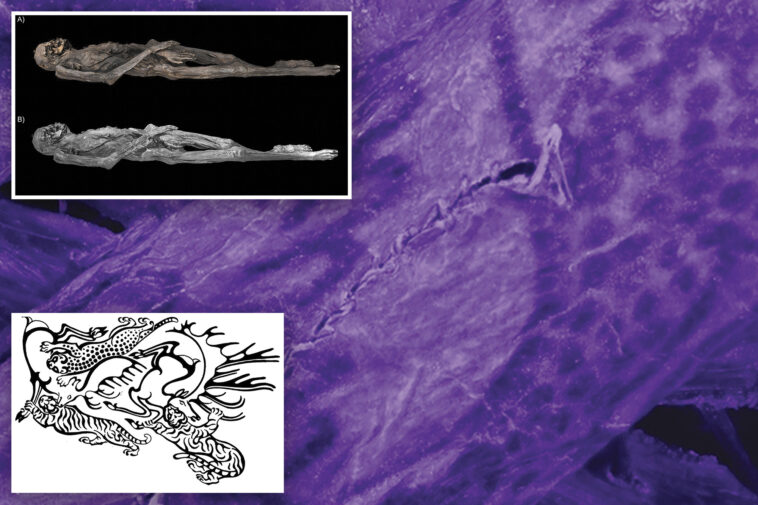 wild-tattoos-of-2,500-year-old-siberian-‘ice-mummy’-revealed-for-first-time