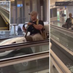 drunk-wyoming-traveler-kevin-sinning-steals-golf-cart,-goes-on-destructive-joyride-at buffalo-niagara-international-airport:-police
