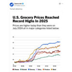 democratic-party-tries-to-pin-‘record-high’-2025-grocery-prices-on-trump-–-but-it-completely-backfires