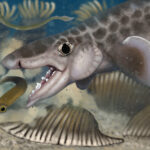 ancient-new-shark-species-—-dating-back-340-million-years-—-unearthed-in-world’s-largest-cave-system