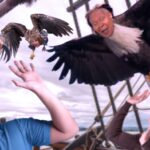 hosts-of-‘the-view’-go-on-hiatus-to-tear-unwary-sailors-apart-with-their-talons